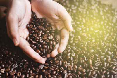 Close-up of hand holding coffee beans