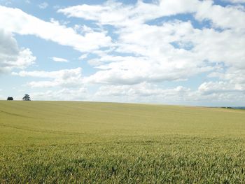 Scenic view of field against sky