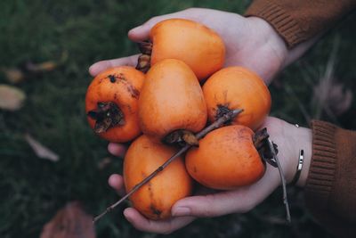 Close-up of hand holding pumpkin