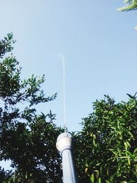 low angle view