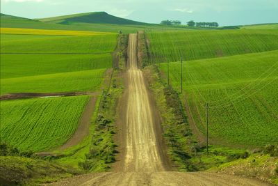 Empty dirt road amidst agricultural fields