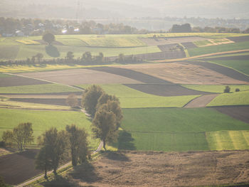 Scenic view of agricultural field