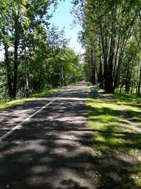 Road passing through trees