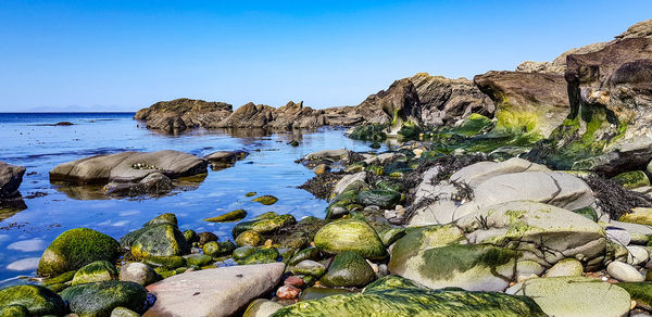 Scenic view of sea against clear blue sky