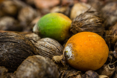 Close-up of oranges on wood