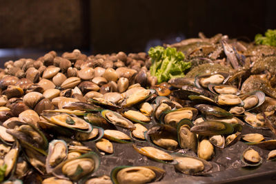 Close-up of shells on table