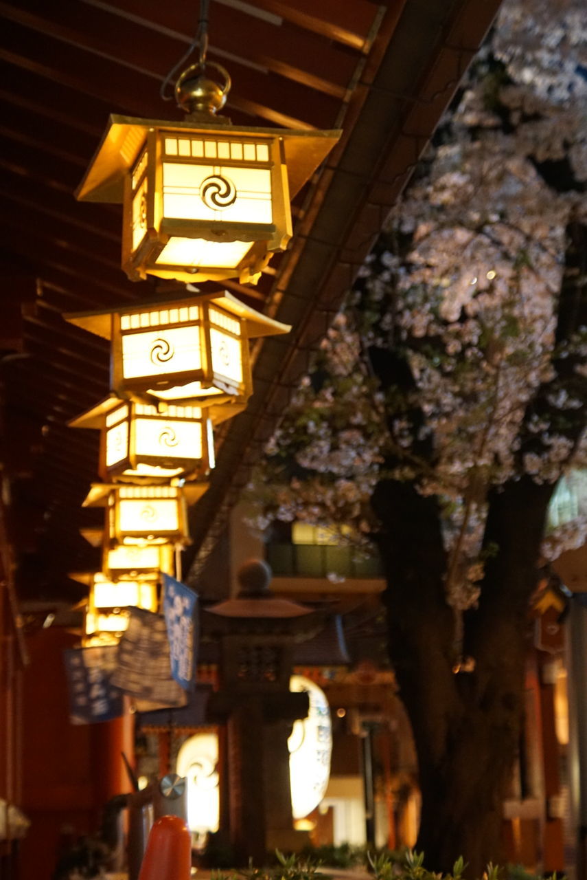 LOW ANGLE VIEW OF ILLUMINATED LANTERNS HANGING ON BUILDING WALL