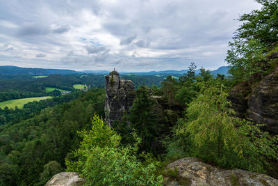 Panoramic view of trees and plants against cloudy sky