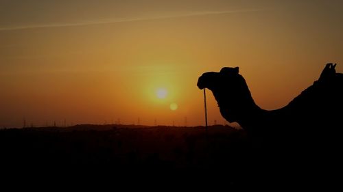 Silhouette of horse in ranch against orange sky