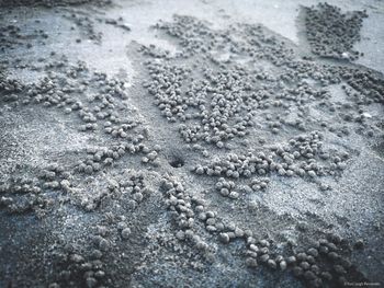 Full frame shot of frozen water