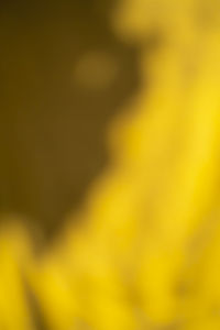 Defocused image of yellow flower