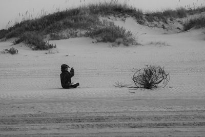 Side view of boy photographing plant while sitting on sand