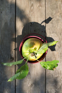 Directly above shot of fruits and leaves on table