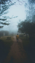 Rear view of man walking on footpath against sky