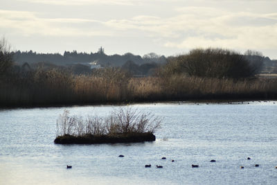 Scenic view of lake against sky