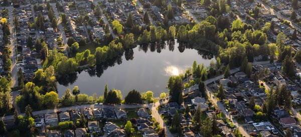 High angle view of trees and buildings by lake
