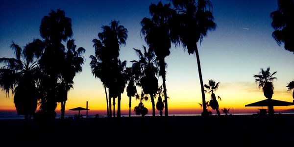 Silhouette palm trees on beach against sky during sunset