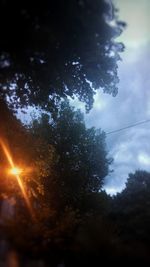 Low angle view of trees against sky