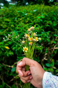 Midsection of person holding flowering plant