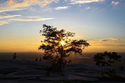 Silhouette tree against sky during sunset