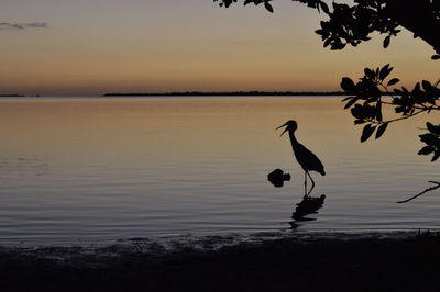 Scenic view of sea at sunset