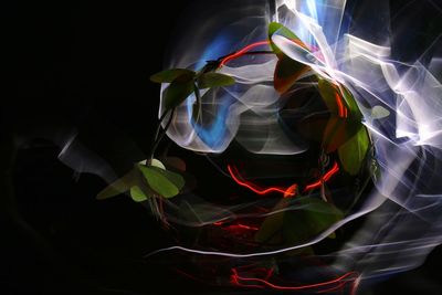 Digital composite image of light painting against black background