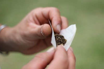 Cropped hands of man rolling marijuana joint