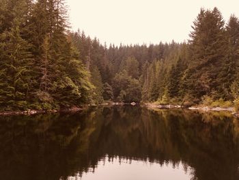 Scenic view of lake by trees in forest against sky