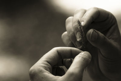 Cropped image of hands holding wheat