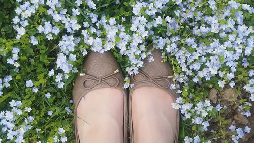 Low section of person against white flowering plants