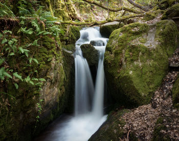 Scenic view of waterfall in forest