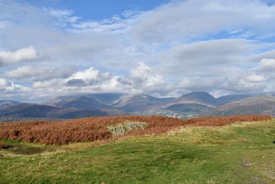 Scenic view of field against sky