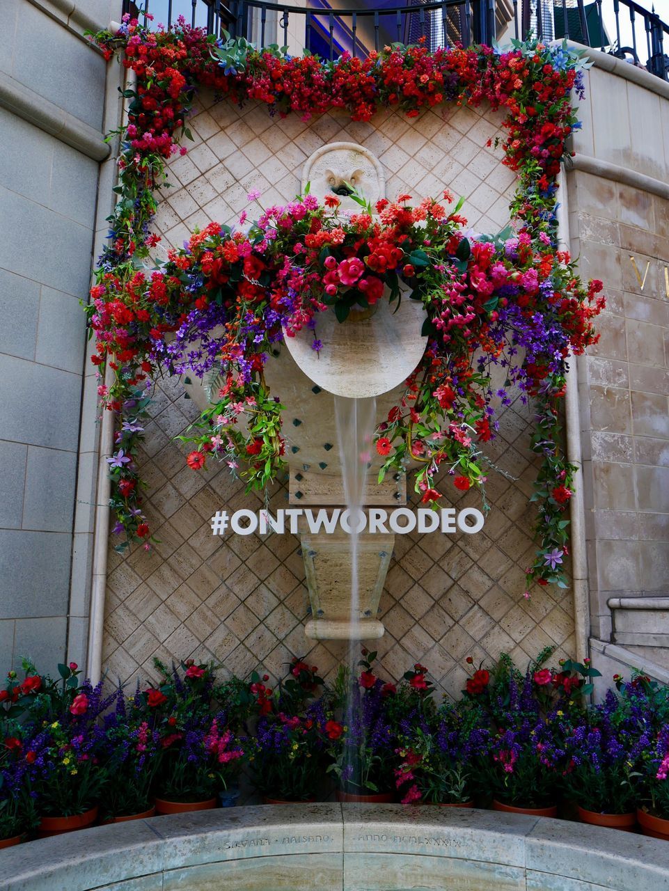 FLOWER PLANTS AGAINST BUILDING