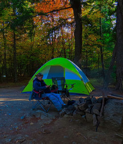 Men sitting in tent by trees in forest