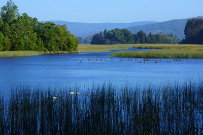 Scenic view of lake against sky