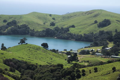 Scenic view of green landscape and river against clear sky