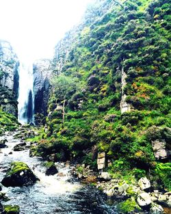 Scenic view of waterfall in forest against sky