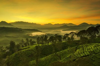 Scenic view of landscape against sky during sunset