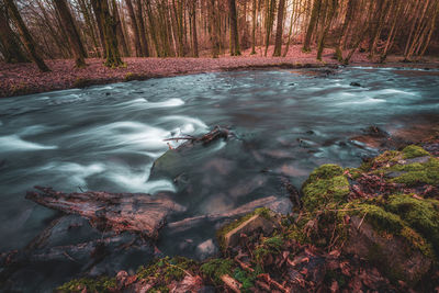 High angle view of water flowing in forest