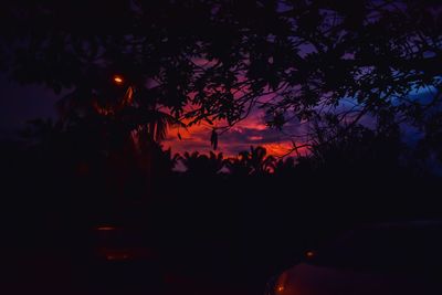 Silhouette trees against sky at night