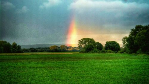 Scenic view of field against cloudy sky