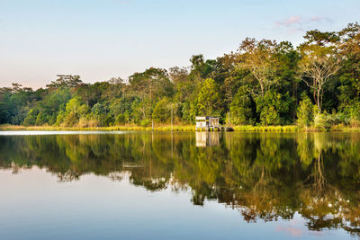 Reflection of trees in lake against sky