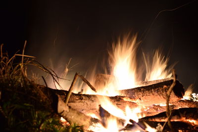 Close-up of bonfire at night