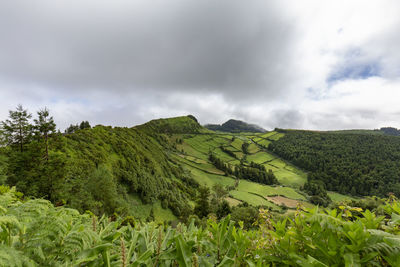 Scenic view of agricultural field against sky