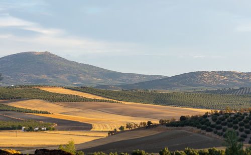 Scenic view of landscape and mountains against sky