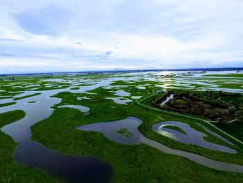 Aerial view of leaf on grass