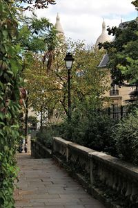 Street light by trees against sky