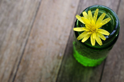 High angle view of yellow flower on table