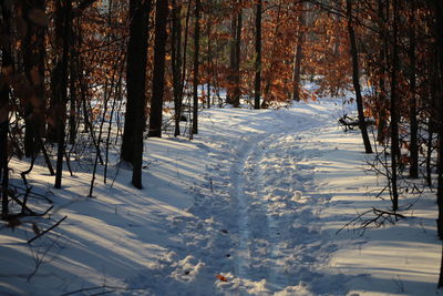 Scenic view of snow covered landscape