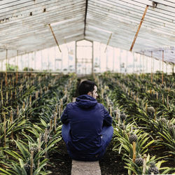 Rear view of young man sitting amidst plants in greenhouse